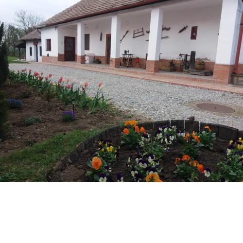 Tulipán Vendégház