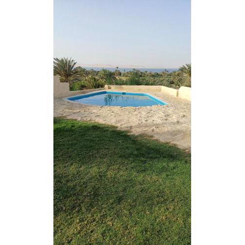 Tunis Tone Ecolodge & Campsite