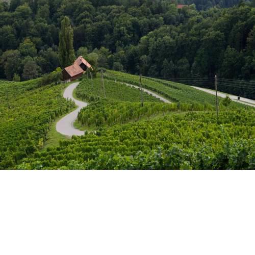 Turistična kmetija Dreisiebner