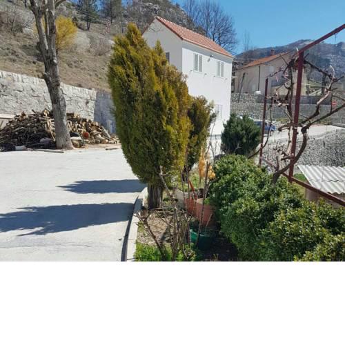Turo Njeguši Apartman