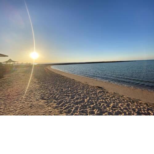 Turtles beach