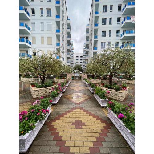 Tushemisht Apartment Rent