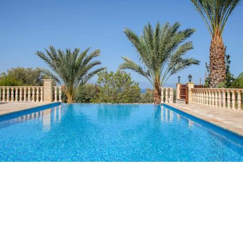 Twin Palms