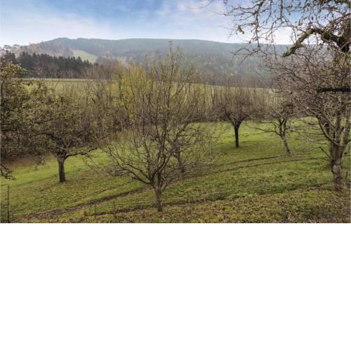 Two-Bedroom Holiday Home in Fischbach