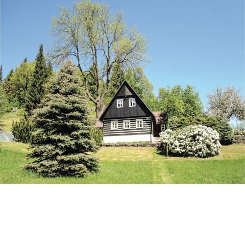 Two-Bedroom Holiday Home in Janov nad Nisou