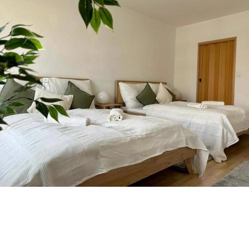 Two Bedrooms - 70 squaremeters - 4 min to U6 Dresdner Str
