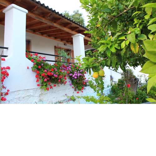 Ulisse Apartments