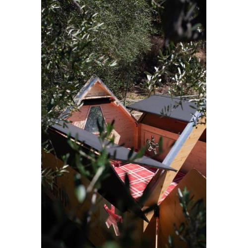 ULIVETO GLAMPING