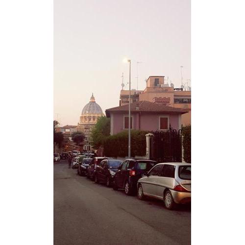 Un bellissimo nido a S.Pietro
