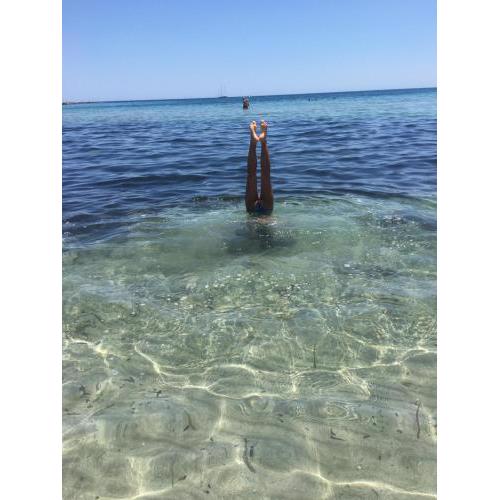 Una Araucaria sul mare