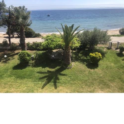 Unique Beachfront appartment