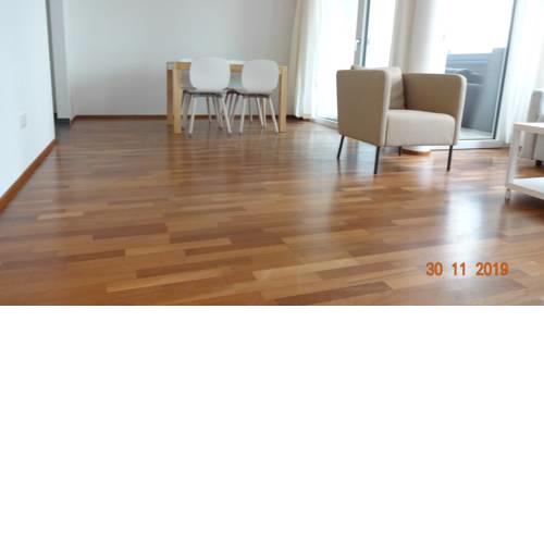 UNITED NATIONS VIENNA APARTMENT 12