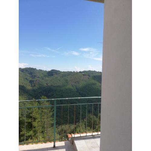 Uno scorcio sulla natura-SERRA PISTOIESE