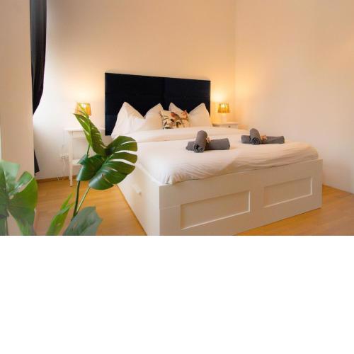 Urbane Oase l LF11