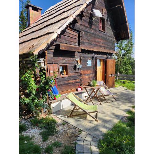 Urige Waldbienenhütte