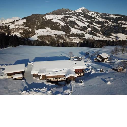 Urlaub-am-Bio-Bauernhof-Achrainer-Moosen-Alpenrose