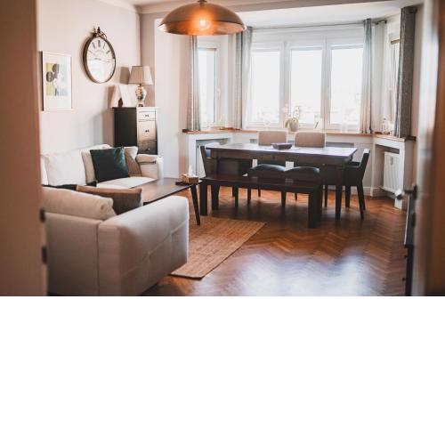 Usti Downtown Horovka Apartment