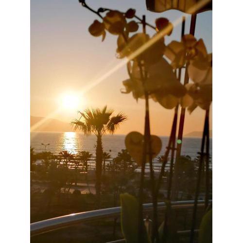 Vale House Holiday Apartment