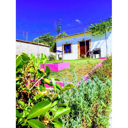 Valena's house