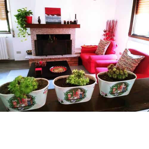Valtellinaguesthouse
