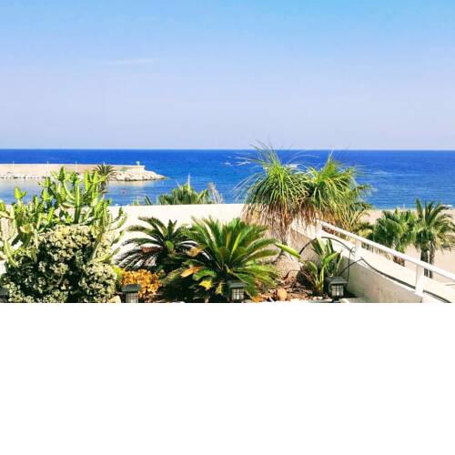 ¡ VAMOS A LA PLAYA !