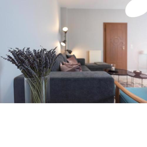 Vanilla Luxurius Apartment