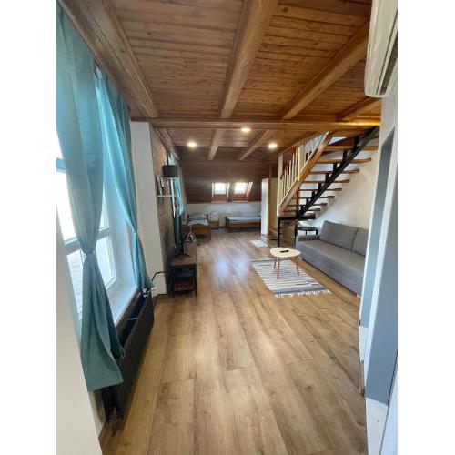 Varady's large apartment with private parking