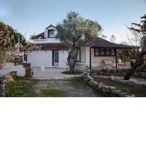 Vartan's Summer House