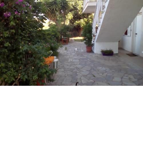 Vasiliki Apartments