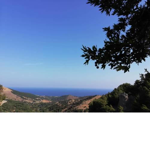 Vasilis House