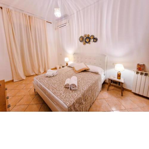 Vatican Shelter