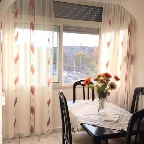 Vera's Cozy 1BR 2 beds Apartment *Feel Like Home*