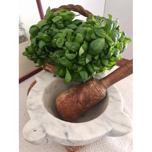 Verde basilico