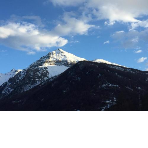 Verde Sole Neve