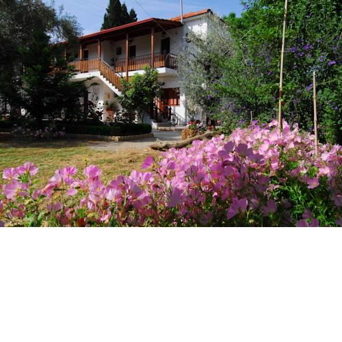 Vergonis Studios