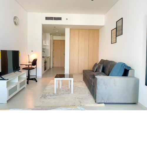 Very Large Luxury studio with canal view in Business bay