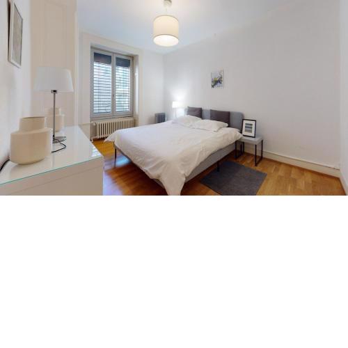 Very nice apartment in Les Pâquis close to the famous Jet d'eau