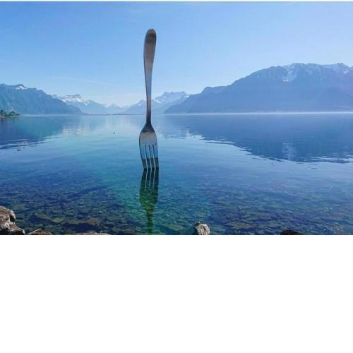 Vevey Old Town Homey Flat 100m Lake