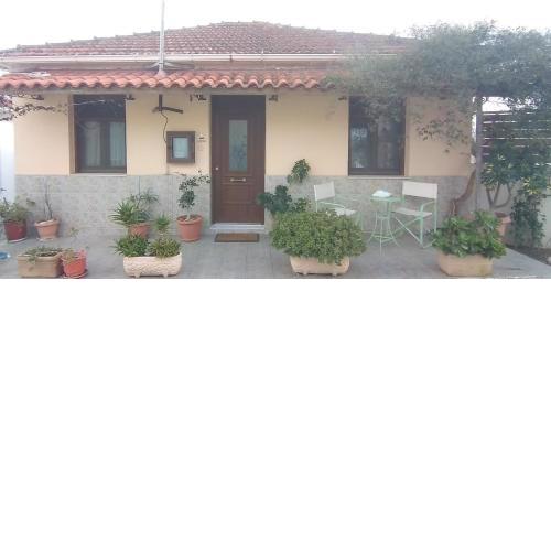 Vicky's House