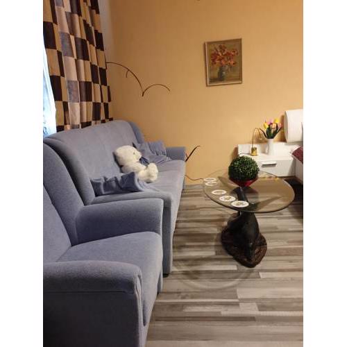 Vienna-Appartement-AKH