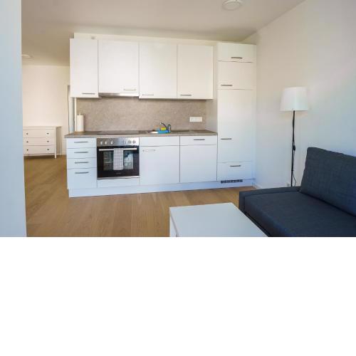 Vienna Living Apartments - Berggasse