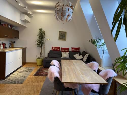 Vienna's Rooftop Apartment with free parking place