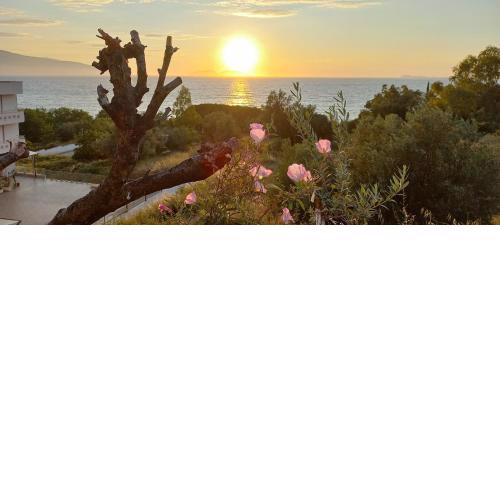 Views of Vlore - Lunarossa