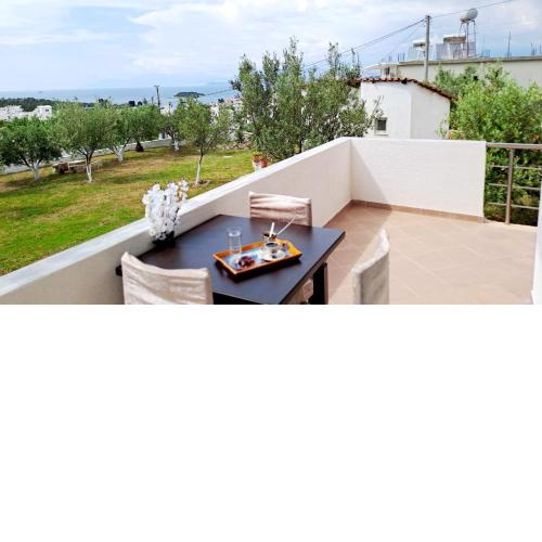 Vila Bashkimi