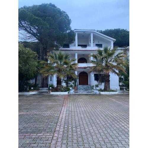 Vila “Beheluli” Golem