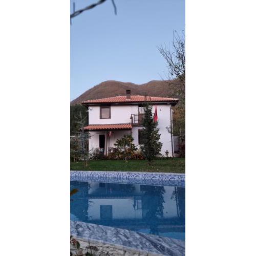 Vila elektra