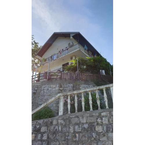 Vila Lekovina
