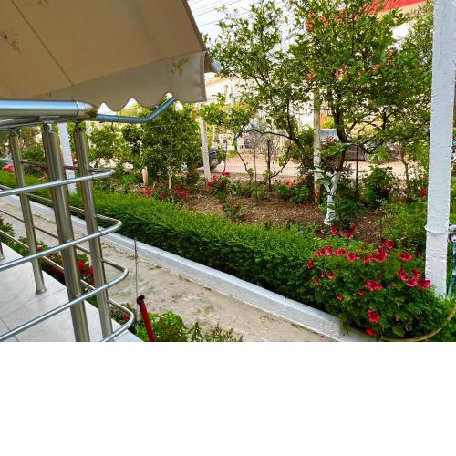 vila Petriti