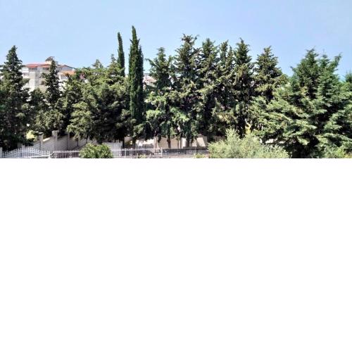Vila Tahiri
