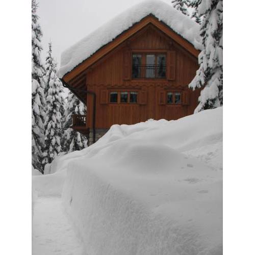Vila Triglav on Pokljuka